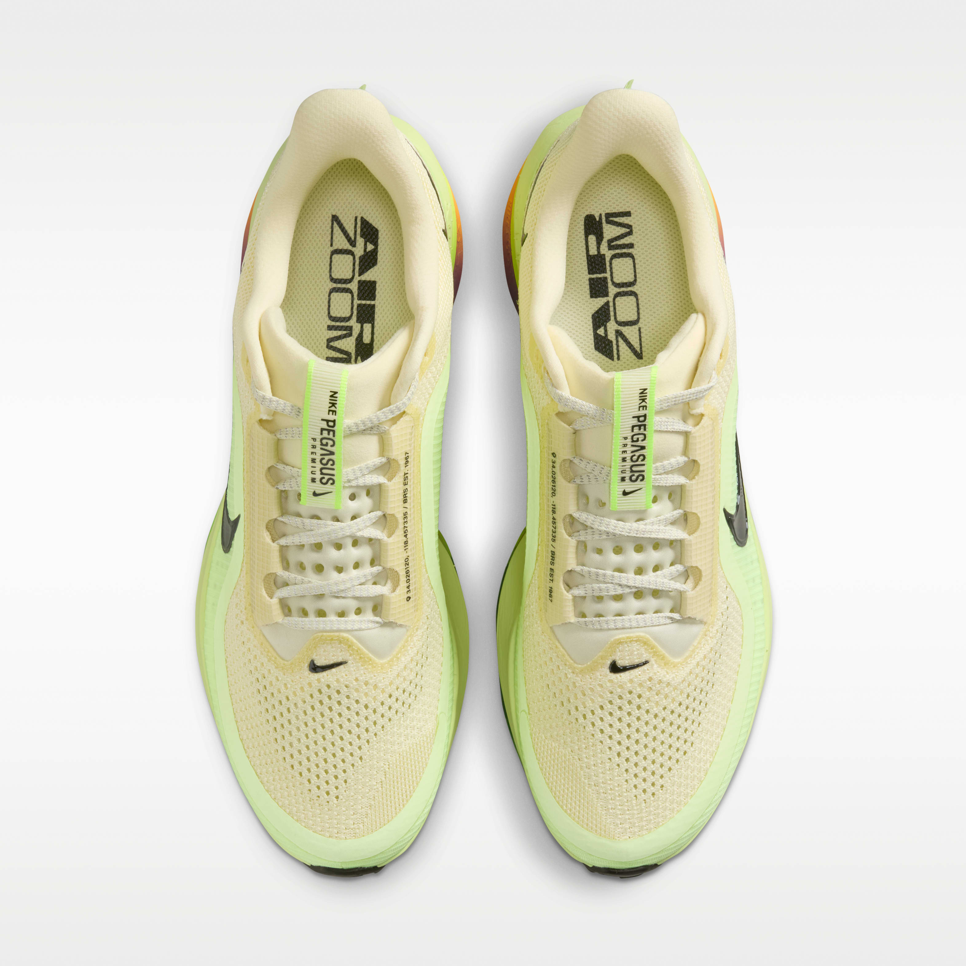 Nike Pegasus Premium SP Men's Shoes | The Summit